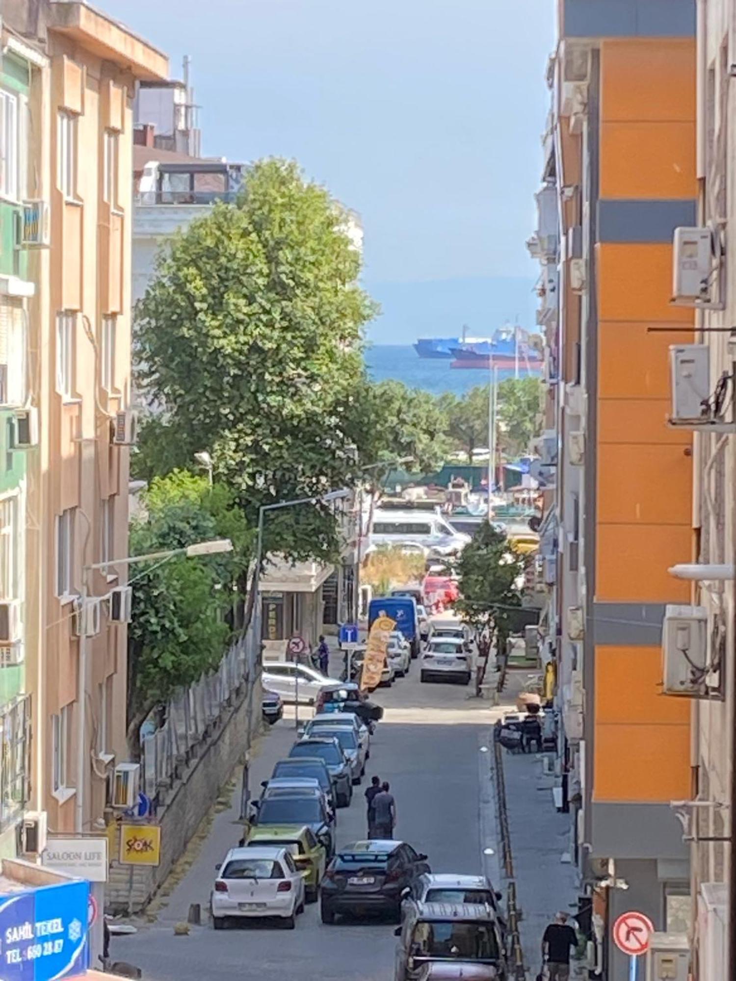Daire Kartopu 1 İstanbul